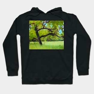 Old tree illustration Hoodie